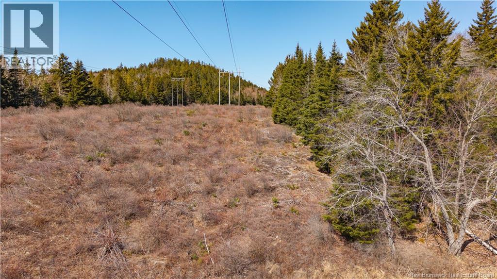 3008 Route 760, Bethel, New Brunswick  E5C 0G2 - Photo 29 - NB137162