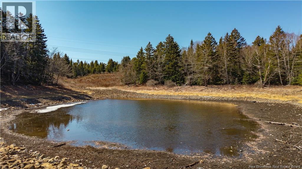 3008 Route 760, Bethel, New Brunswick  E5C 0G2 - Photo 34 - NB137162