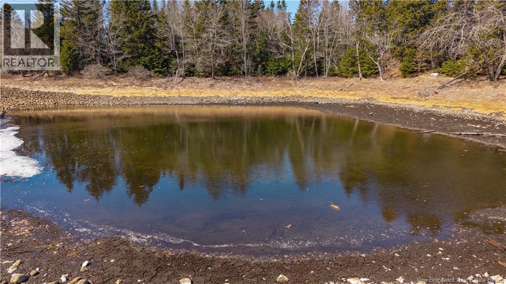 3008 Route 760, Bethel, New Brunswick  E5C 0G2 - Photo 35 - NB137162