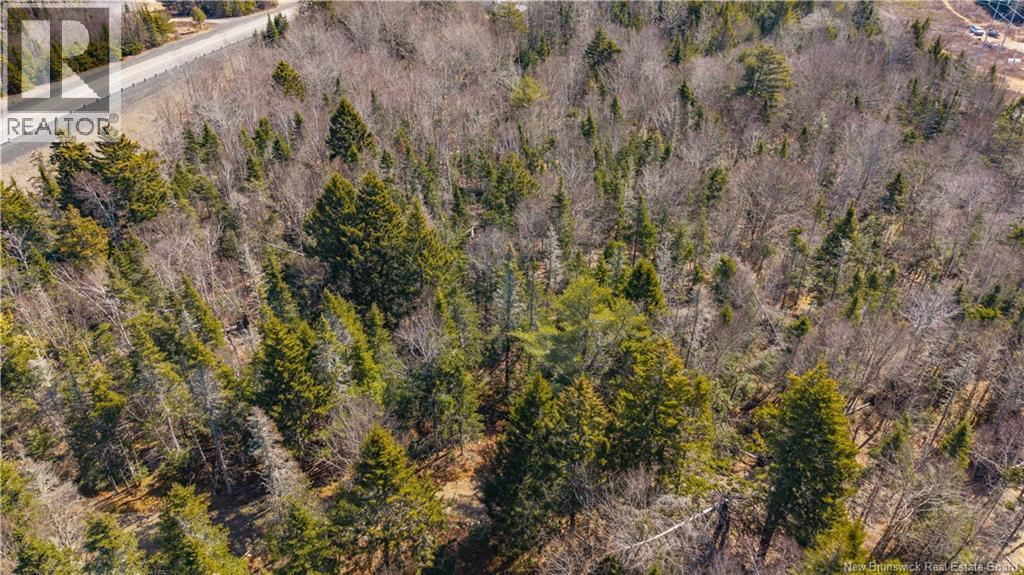 3008 Route 760, Bethel, New Brunswick  E5C 0G2 - Photo 38 - NB137162