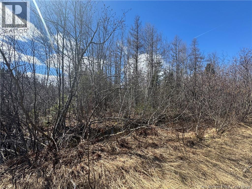 00 Dickson Road, Lawrence Station, New Brunswick