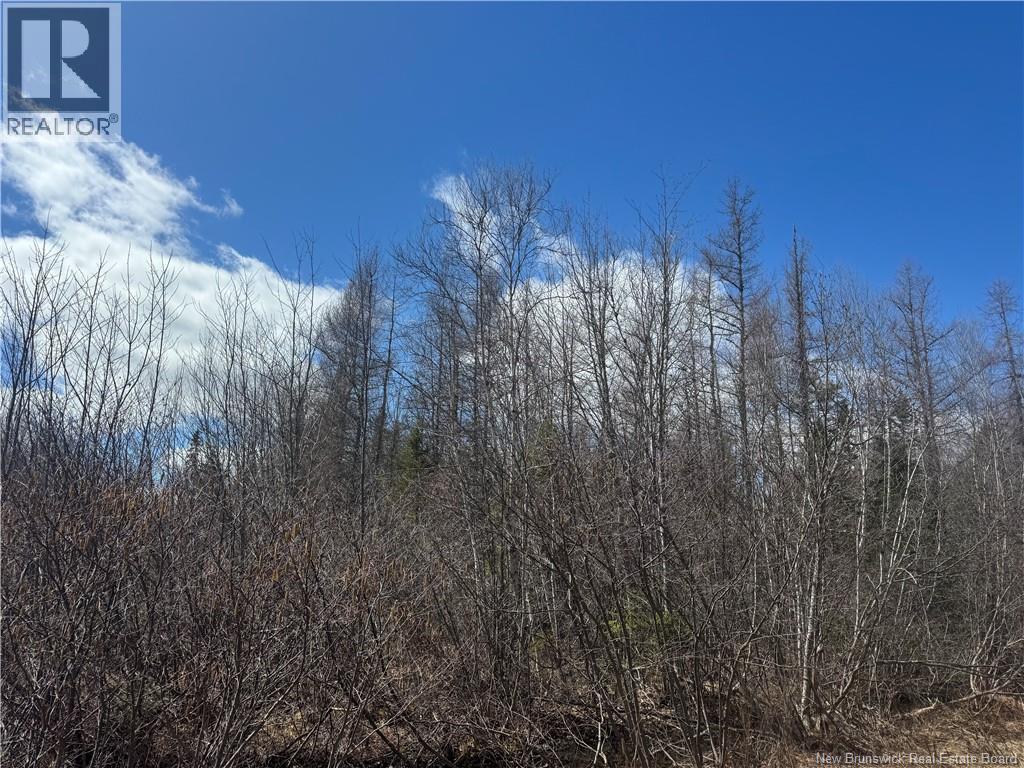 00 Dickson Road, Lawrence Station, New Brunswick  E5A 1S7 - Photo 2 - NB137211