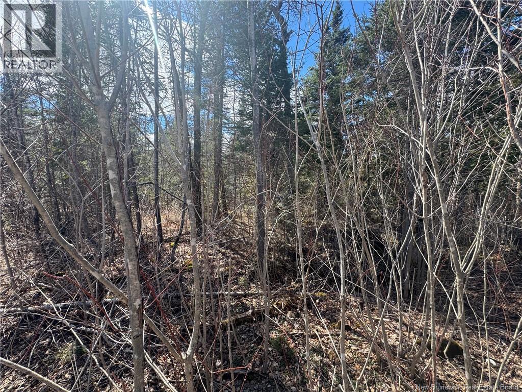 00 Dickson Road, Lawrence Station, New Brunswick  E5A 1S7 - Photo 7 - NB137211