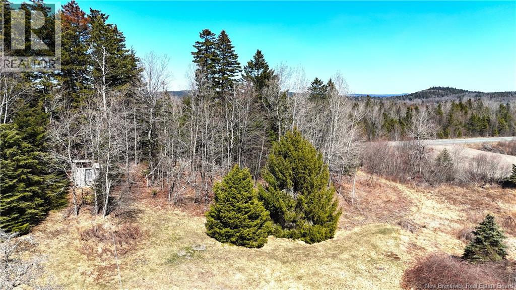 47 Brunswick Street, St George, New Brunswick  E5C 1A7 - Photo 6 - NB136959