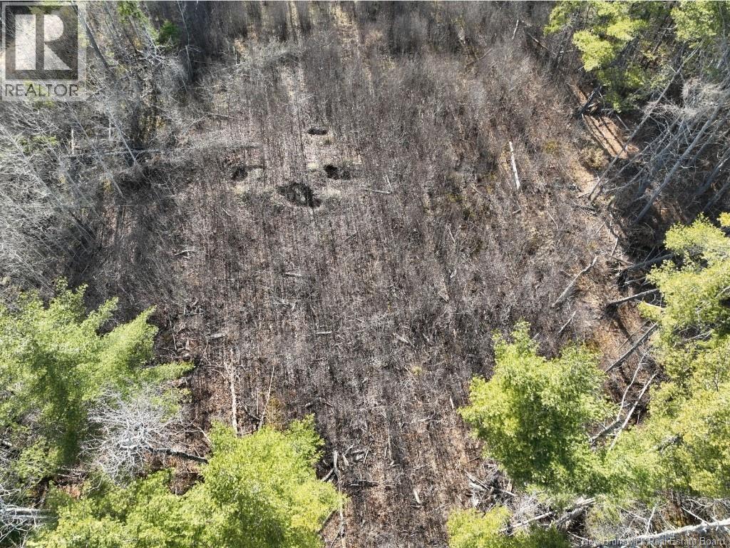 0 Route 740, Heathland, New Brunswick  E3L 5C1 - Photo 2 - NB137160