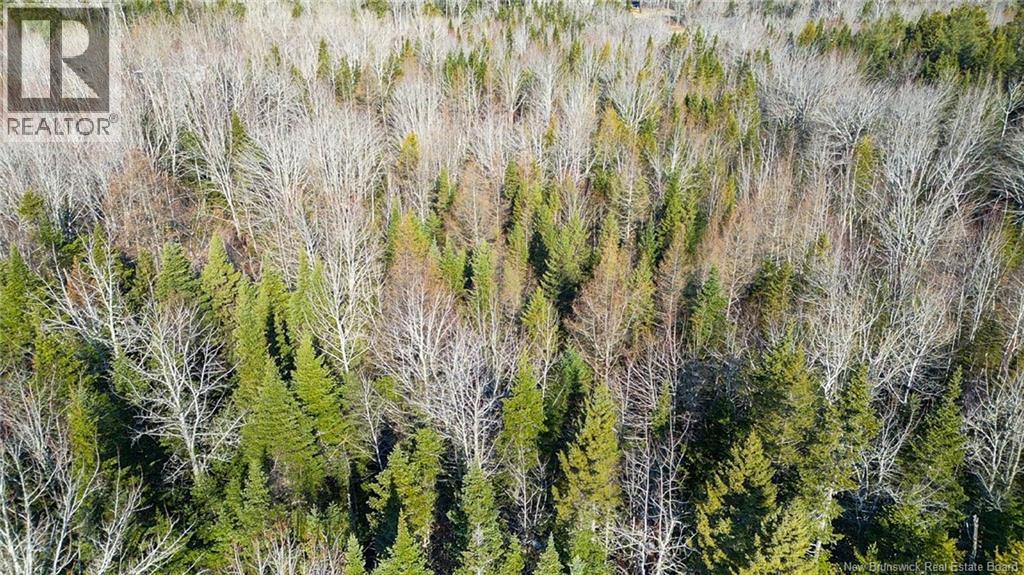 98-1 Mast Road, Three Tree Creek, New Brunswick