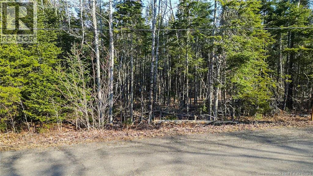 98-1 Mast Road, Three Tree Creek, New Brunswick  E5L 2W1 - Photo 2 - NB137256