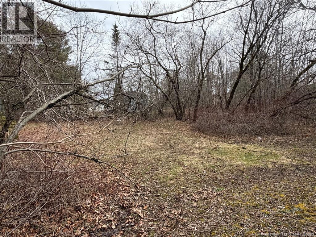 19 Pine Street, St. Stephen, New Brunswick  E3L 1X3 - Photo 5 - NB137449