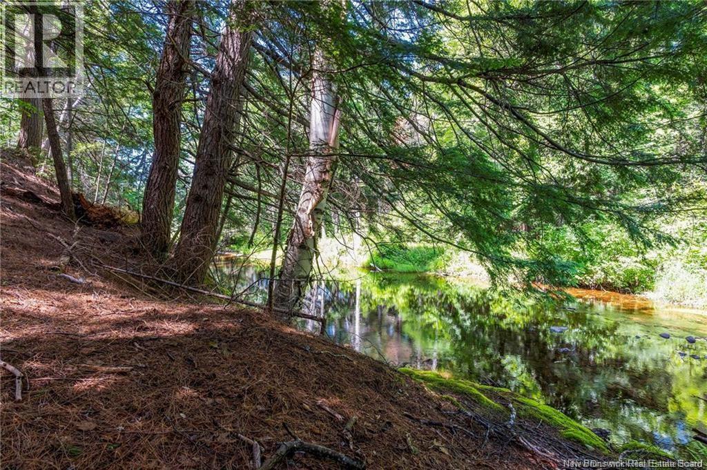 23 Welsford Station Road, Welsford, New Brunswick  E5K 4A5 - Photo 43 - NB137484