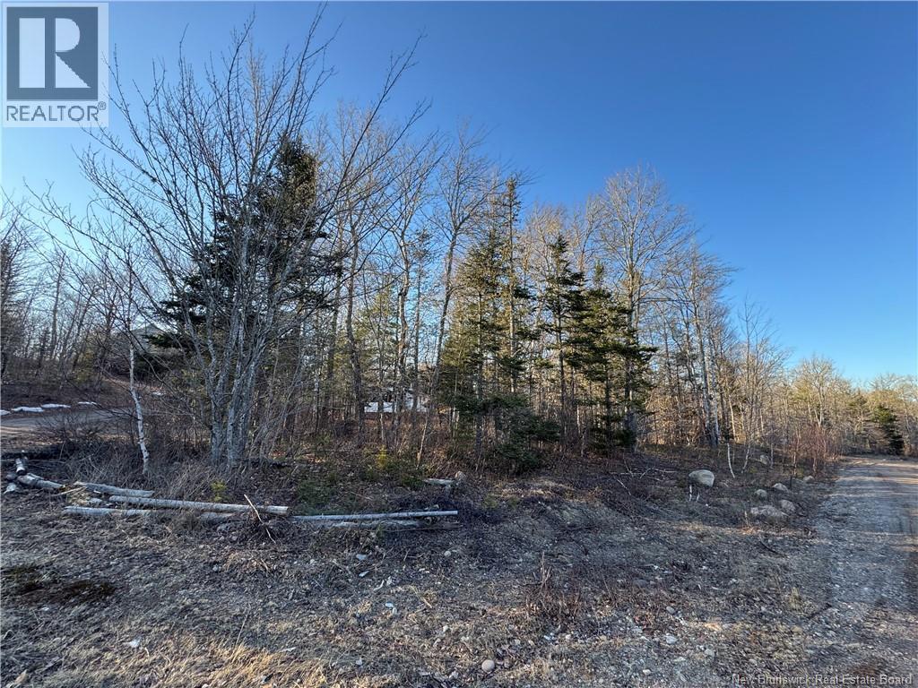 Camp Lake Road, South Oromocto Lake, New Brunswick  E5L 2R2 - Photo 34 - NB137662