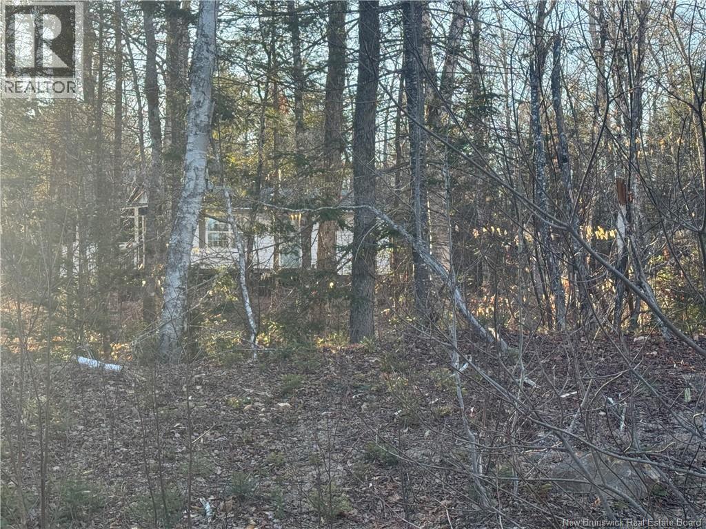 Camp Lake Road, South Oromocto Lake, New Brunswick  E5L 2R2 - Photo 36 - NB137662