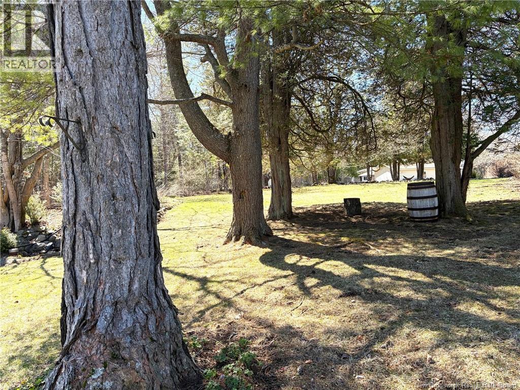 88 Green Road, Rothesay, New Brunswick  E2H 1T1 - Photo 46 - NB137636