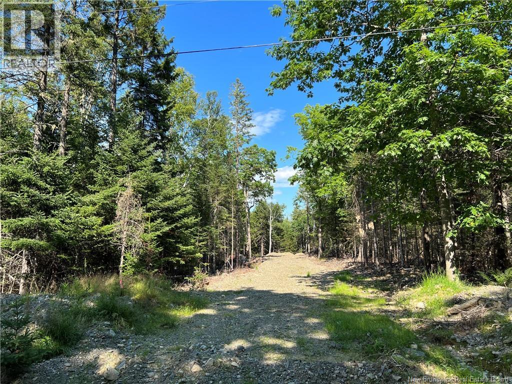 Hills Point Road, Oak Bay, New Brunswick  E3L 4J6 - Photo 2 - NB137743