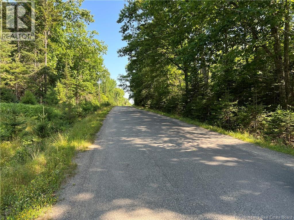 Hills Point Road, Oak Bay, New Brunswick  E3L 4J6 - Photo 3 - NB137743