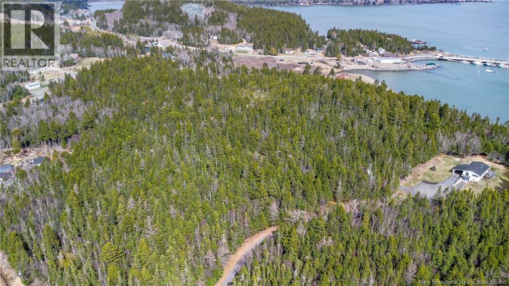 Chance Harbour Road, Chance Harbour, New Brunswick  E5J 1Z1 - Photo 12 - NB137847