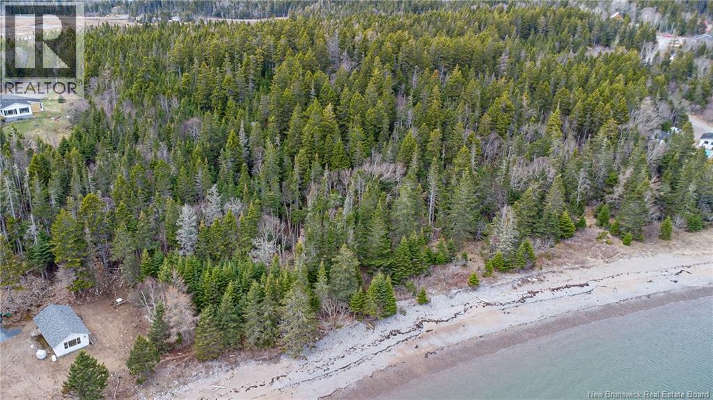 Chance Harbour Road, Chance Harbour, New Brunswick  E5J 1Z1 - Photo 3 - NB137847