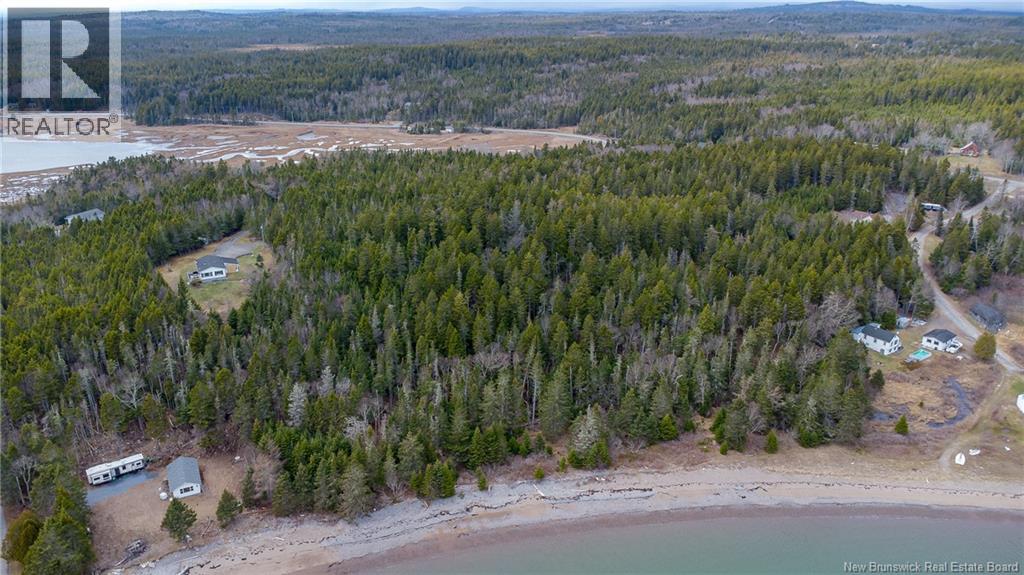 Chance Harbour Road, Chance Harbour, New Brunswick  E5J 1Z1 - Photo 5 - NB137847