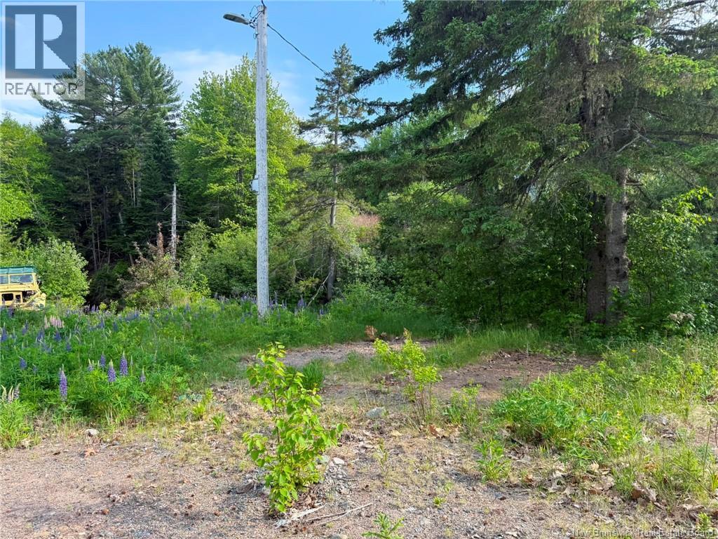 Welsford Station Road, Welsford, New Brunswick  E5K 4A5 - Photo 9 - NB138305