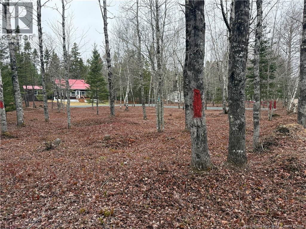 44 Springwater Lane, Second Falls, New Brunswick  E5H 3E9 - Photo 4 - NB138484