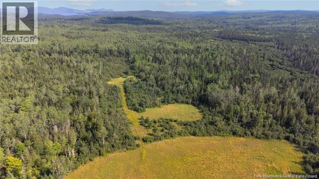 000 Route 170, St. Stephen, New Brunswick  E3L 3W7 - Photo 5 - NB138758