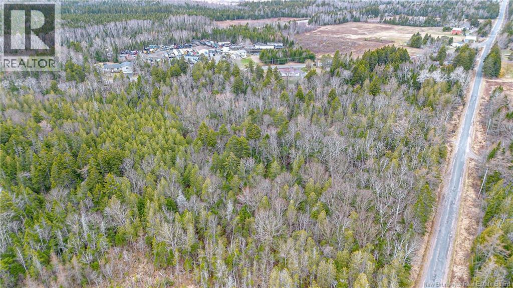 Mckay Loop Road, Pennfield, New Brunswick  E5H 2L2 - Photo 3 - NB138753