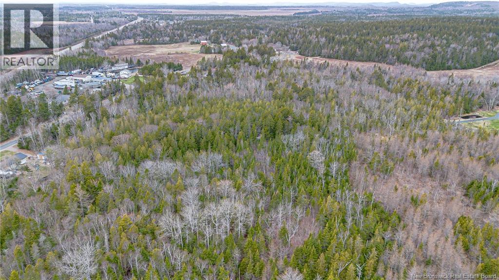 Mckay Loop Road, Pennfield, New Brunswick  E5H 2L2 - Photo 9 - NB138753