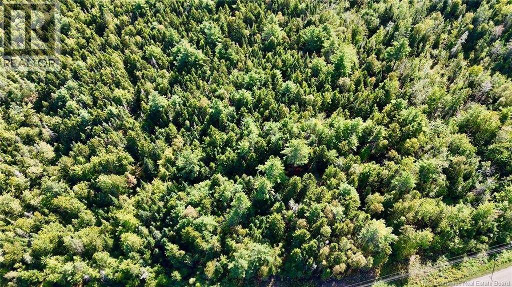 00 Route 745, Oak Hill, New Brunswick  E5A 2E2 - Photo 12 - NB138830
