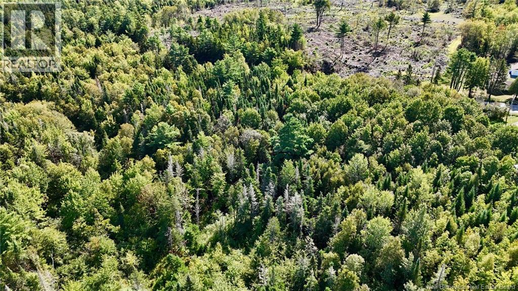 00 Route 745, Oak Hill, New Brunswick  E5A 2E2 - Photo 5 - NB138830