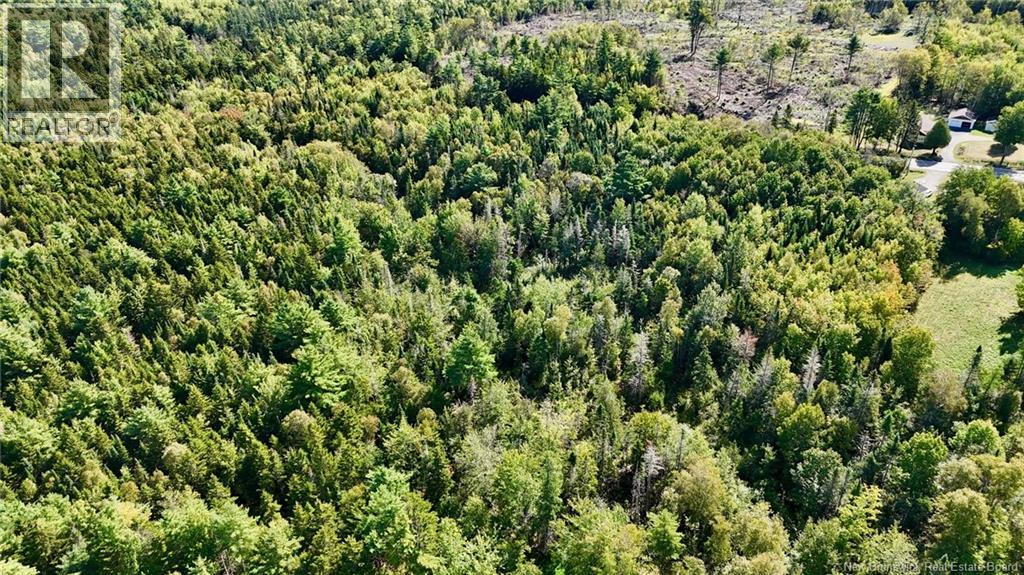 00 Route 745, Oak Hill, New Brunswick  E5A 2E2 - Photo 6 - NB138830