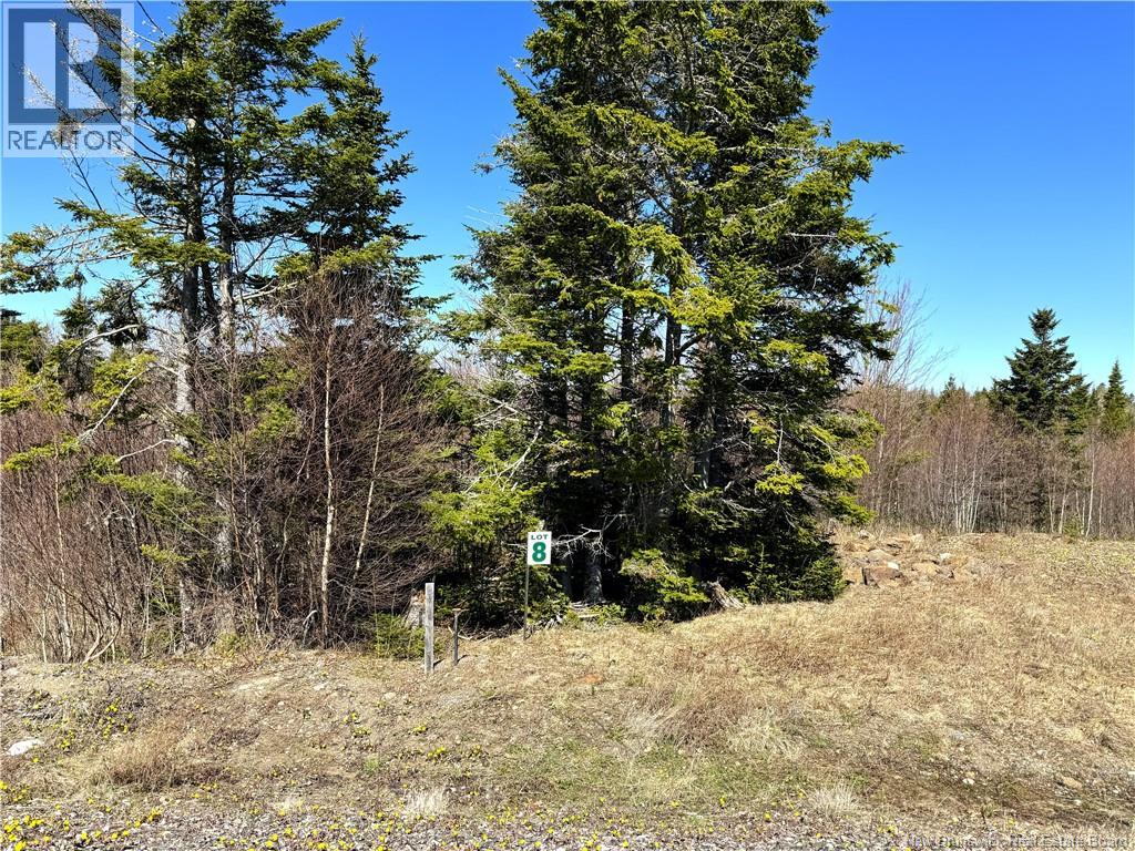 Lot 25-08 Hillside Estates, St George, New Brunswick  E5C 3S4 - Photo 2 - NB139079