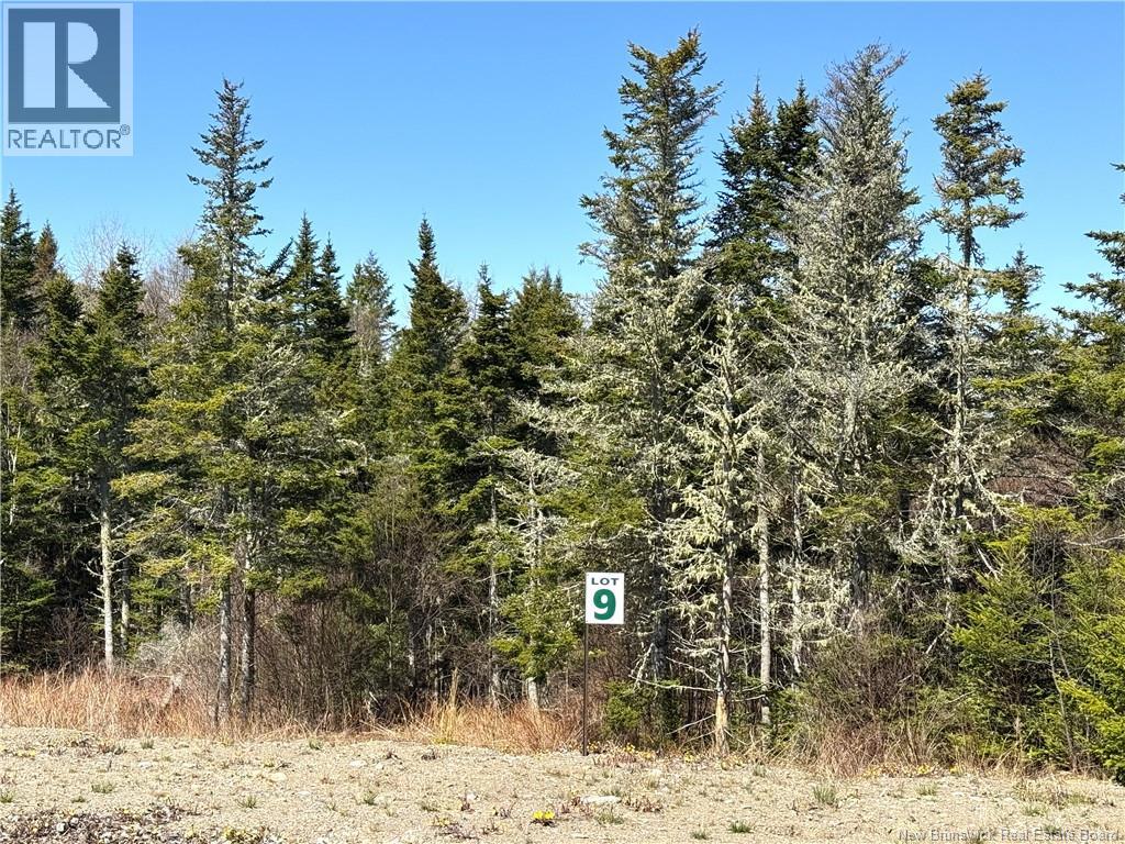 Lot 25-09 Hillside Estates, St George, New Brunswick