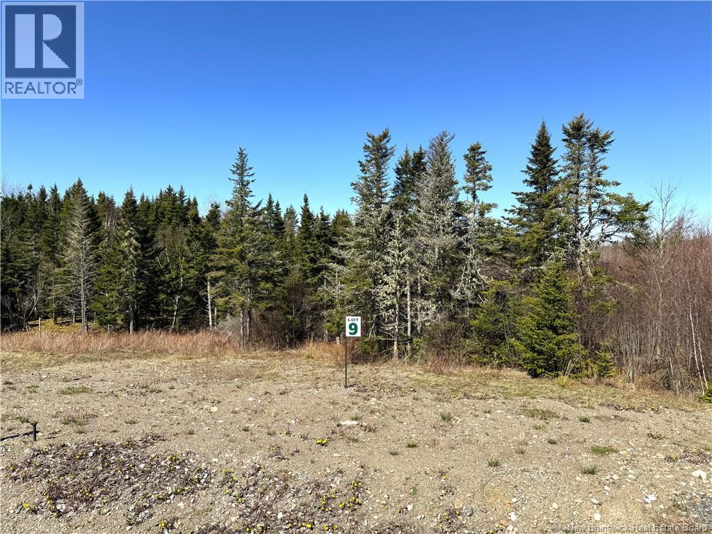 Lot 25-09 Hillside Estates, St George, New Brunswick  E5C 3S4 - Photo 2 - NB139082