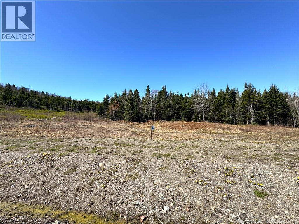 Lot 25-12 Hillside Estates, St George, New Brunswick  E5C 3S4 - Photo 2 - NB139094