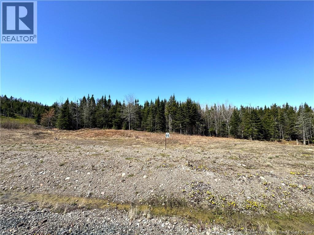 Lot 25-11 Hillside Estates, St George, New Brunswick  E5C 3S4 - Photo 3 - NB139089