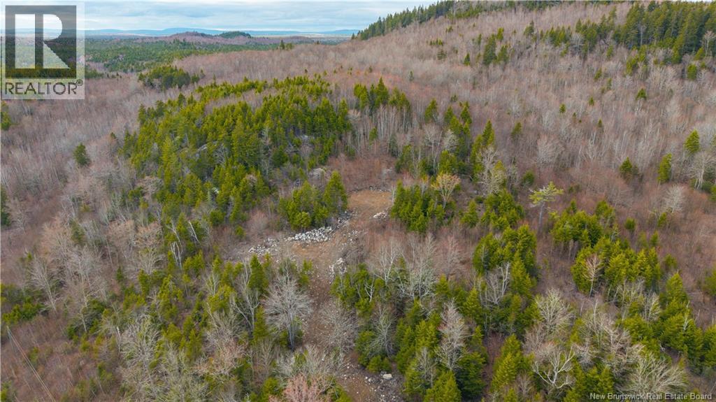 Lot 6-1191 Route 785, Utopia, New Brunswick  E5C 2L3 - Photo 15 - NB138173