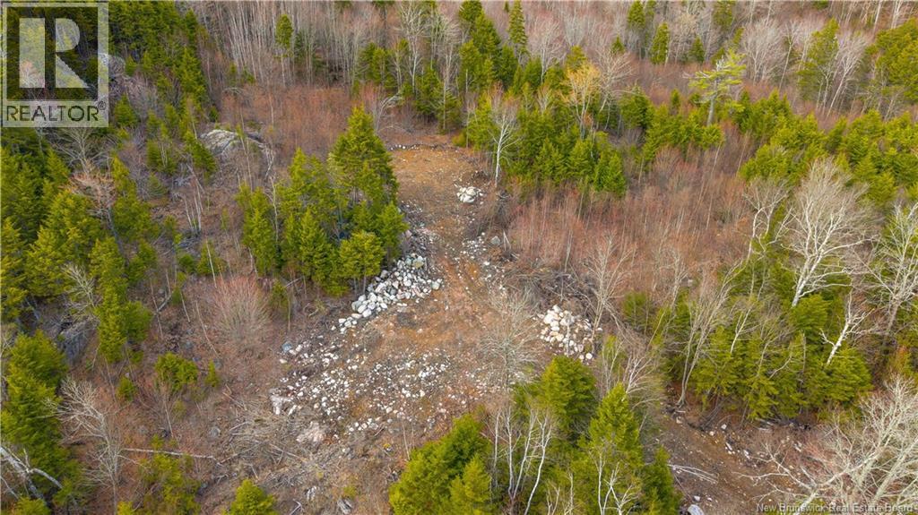 Lot 6-1191 Route 785, Utopia, New Brunswick  E5C 2L3 - Photo 17 - NB138173