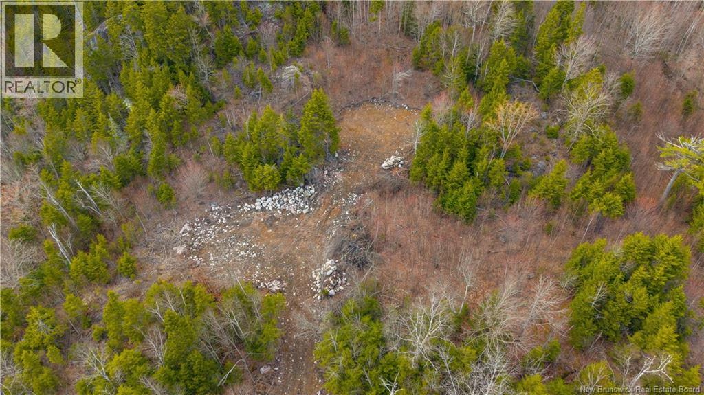 Lot 6-1191 Route 785, Utopia, New Brunswick  E5C 2L3 - Photo 19 - NB138173