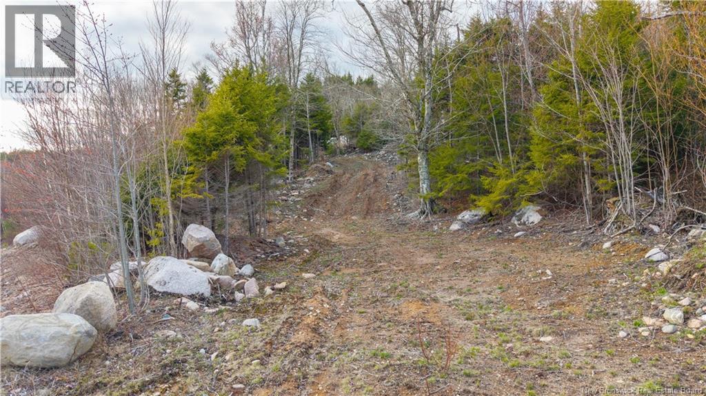 Lot 6-1191 Route 785, Utopia, New Brunswick  E5C 2L3 - Photo 20 - NB138173