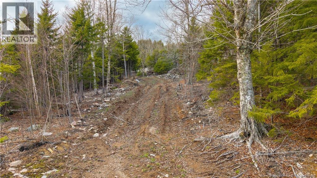Lot 6-1191 Route 785, Utopia, New Brunswick  E5C 2L3 - Photo 22 - NB138173