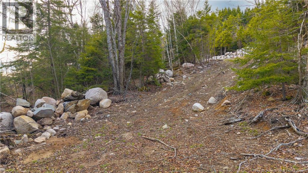Lot 6-1191 Route 785, Utopia, New Brunswick  E5C 2L3 - Photo 23 - NB138173