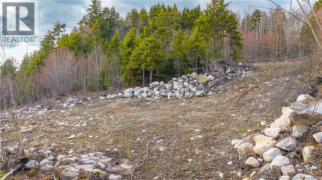 Lot 6-1191 Route 785, Utopia, New Brunswick  E5C 2L3 - Photo 24 - NB138173