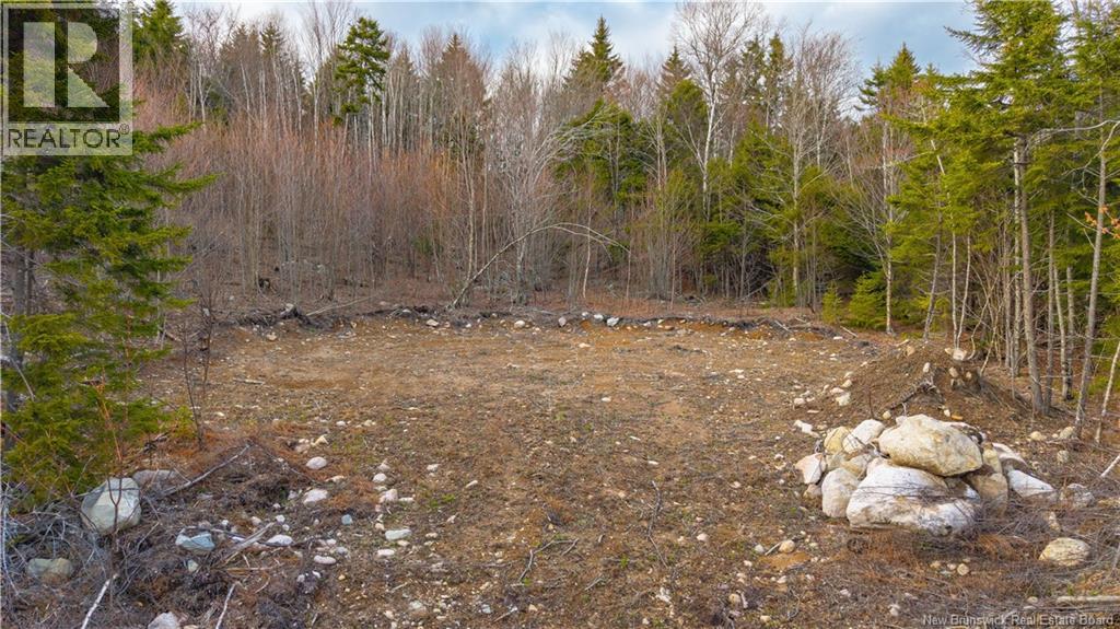 Lot 6-1191 Route 785, Utopia, New Brunswick  E5C 2L3 - Photo 25 - NB138173