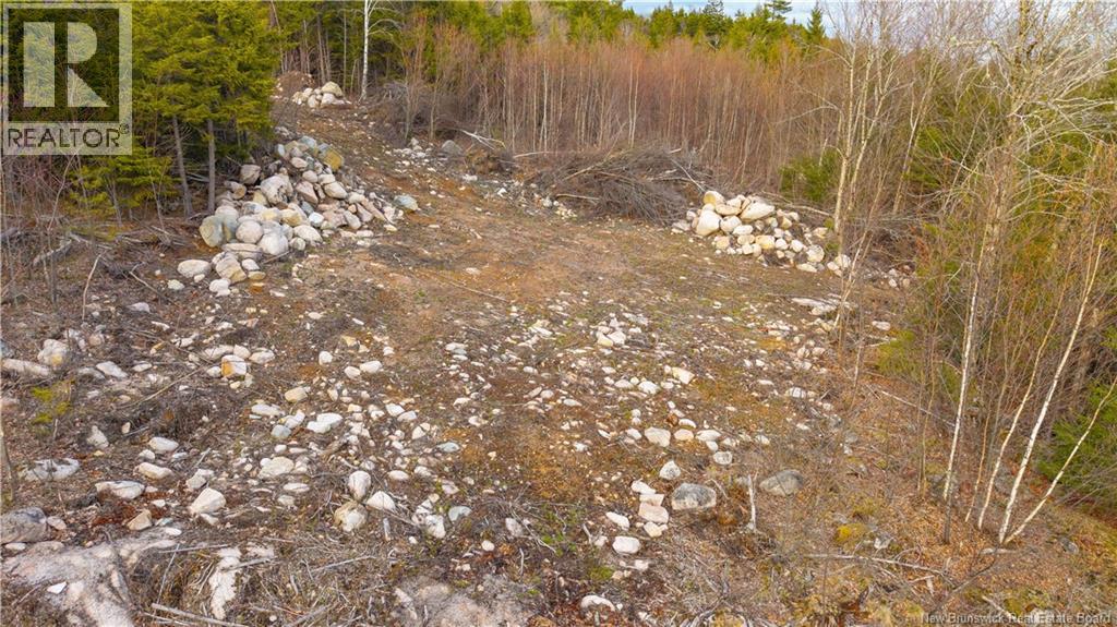 Lot 6-1191 Route 785, Utopia, New Brunswick  E5C 2L3 - Photo 28 - NB138173