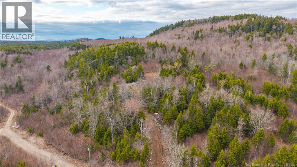 Lot 6-1191 Route 785, Utopia, New Brunswick  E5C 2L3 - Photo 5 - NB138173
