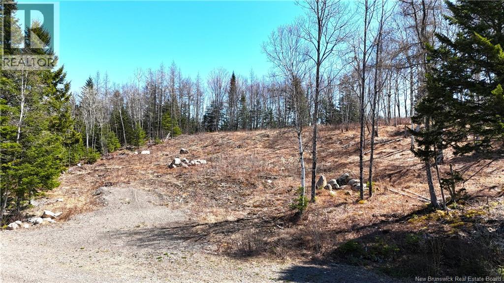 Lot 18-02 Damian Lane, St George, New Brunswick