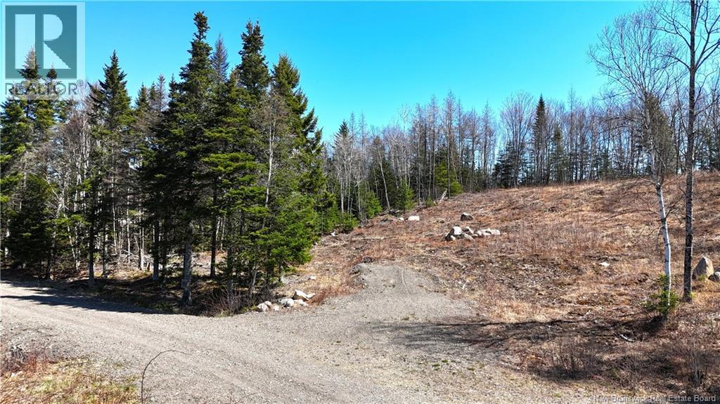 Lot 18-02 Damian Lane, St George, New Brunswick  E5C 0C3 - Photo 2 - NB139022