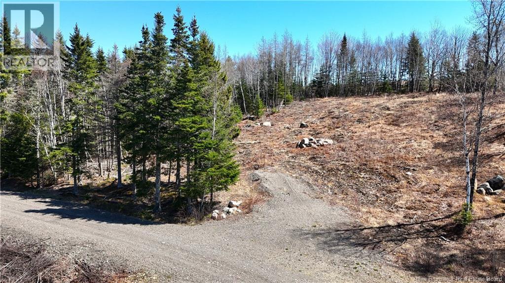 Lot 18-02 Damian Lane, St George, New Brunswick  E5C 0C3 - Photo 3 - NB139022