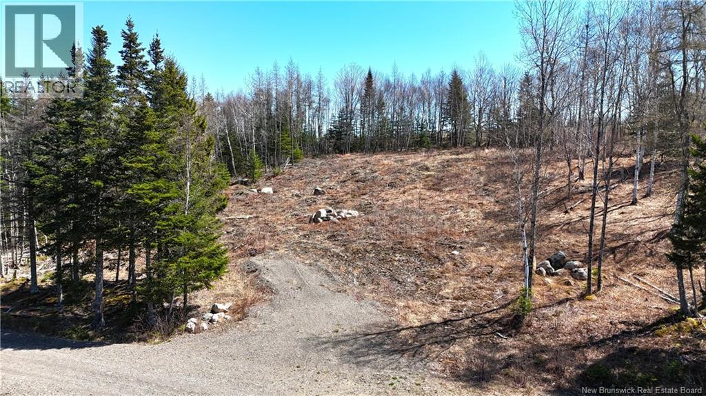Lot 18-02 Damian Lane, St George, New Brunswick  E5C 0C3 - Photo 4 - NB139022