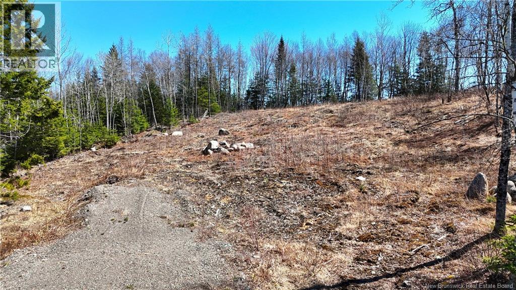 Lot 18-02 Damian Lane, St George, New Brunswick  E5C 0C3 - Photo 5 - NB139022