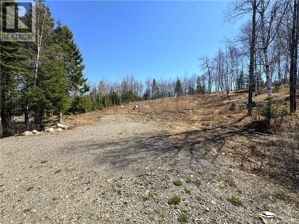 Lot 18-02 Damian Lane, St George, New Brunswick  E5C 0C3 - Photo 6 - NB139022